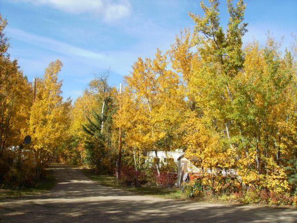 LacBellevue campground 1